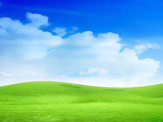 Similar image 548871