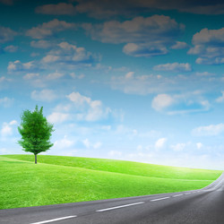 Similar image 548882