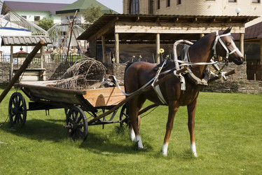 Similar image 548968