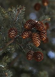 Similar image 549105