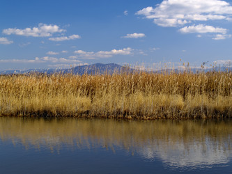 Similar image 549107