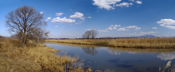 Similar image 549108