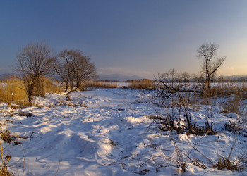 Similar image 549131