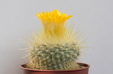 Similar image 549145