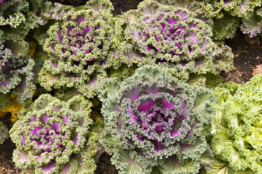 Similar image 549163