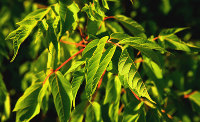 Similar image 549216