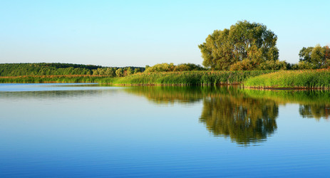 Similar image 549230