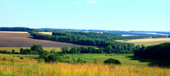 Similar image 549253