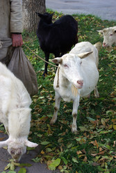 Similar image 549303