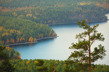 Similar image 549364