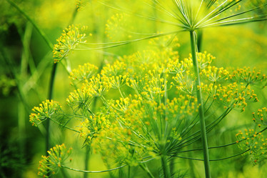 Similar image 549373