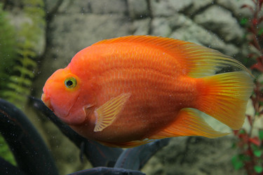 Similar image 549399