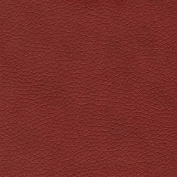 Similar image 549428