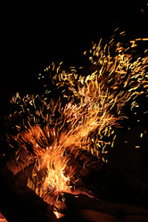 Similar image 549447