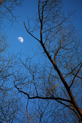 Similar image 549448