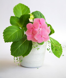 Similar image 549451