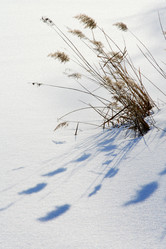 Similar image 549452