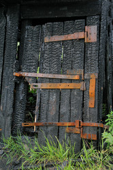 Similar image 549461