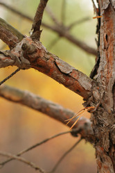 Similar image 549464