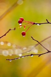 Similar image 549465