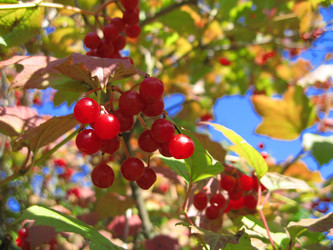 Similar image 549491