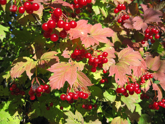 Similar image 549492