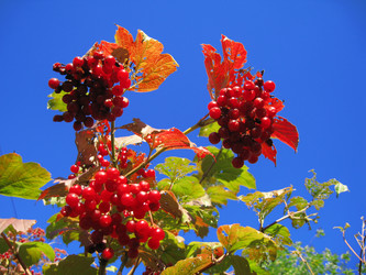 Similar image 549503