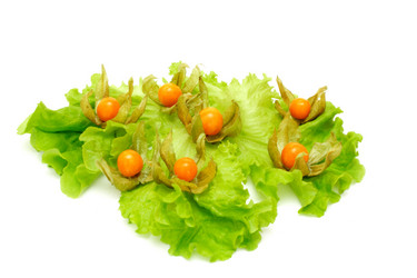 Similar image 549533