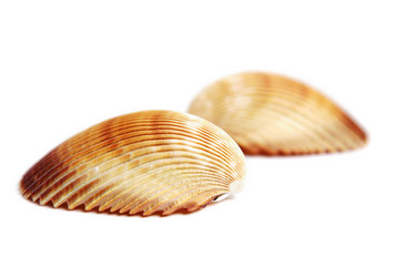 Similar image 549553