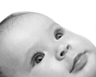 Similar image 549566