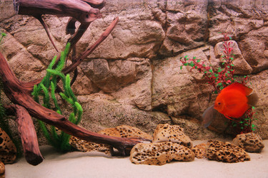 Similar image 549597