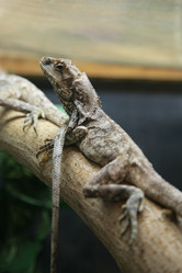 Similar image 549602