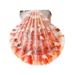 Similar image 549607