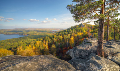 Similar image 549615