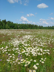 Similar image 549665