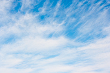 Similar image 549709