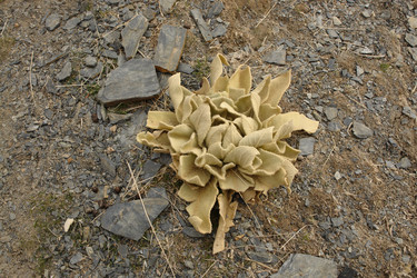 Similar image 549753