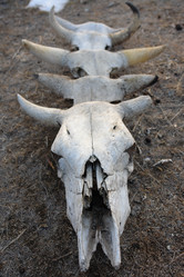 Similar image 549801