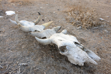 Similar image 549802