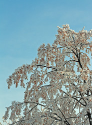 Similar image 549812