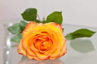 Similar image 549831