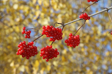 Similar image 549853