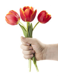 Similar image 549906