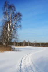 Similar image 549909