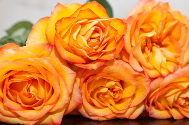 Similar image 549925