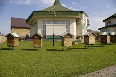 Similar image 549949