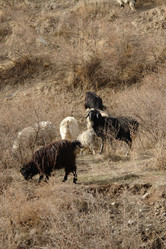 Similar image 549967