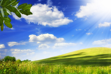 Similar image 549971