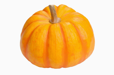 Similar image 550002