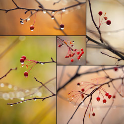 Similar image 550008